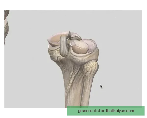 加维右膝前十字韧带伤势分析，未来康复情况备受关注